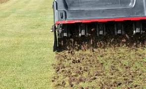 Lawn Aeration & Overseed