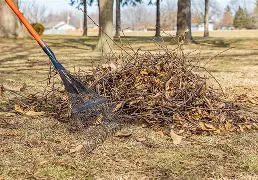 Spring Yard Cleanup