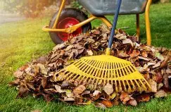 Fall Yard Cleanup