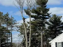 Tree Pruning