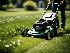 Weekly Lawn Mowing