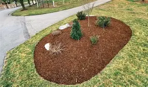 Mulch Installation